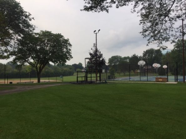 Fire-damaged portable toilet, enclosure and tree at Hasbrook Park on Maude Avenue