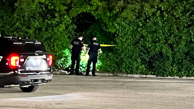 Mount Prospect police officers investigating an opening in shrubs at a rear parking lot west  of "Fry the Coop" that leads to and from an apartment complex on Blossom Lane west of the restaurant (CARDINAL NEWS)