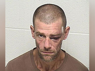 Thomas L. Walker, charged with Leaving the Scene of a Personal Injury Accident and other charges (SOURCE: Lake Forest Police Department/Lake County Sheriff's Office)