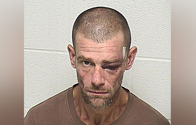 Thomas L. Walker, charged with Leaving the Scene of a Personal Injury Accident and other charges (SOURCE: Lake Forest Police Department/Lake County Sheriff's Office)