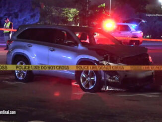 Damaged crossover SUV after a man was struck and killed on Elmhurst Road north of Dempster Street in Des Plaines near Mount Prospect on Thursday night, August 15, 2024 (CARDINAL NEWS)