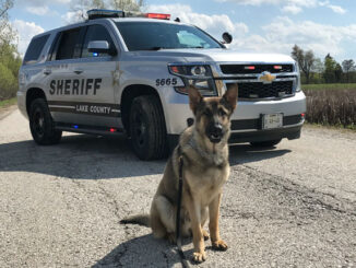 K-9 Danno (Lake County Sheriff's Office)