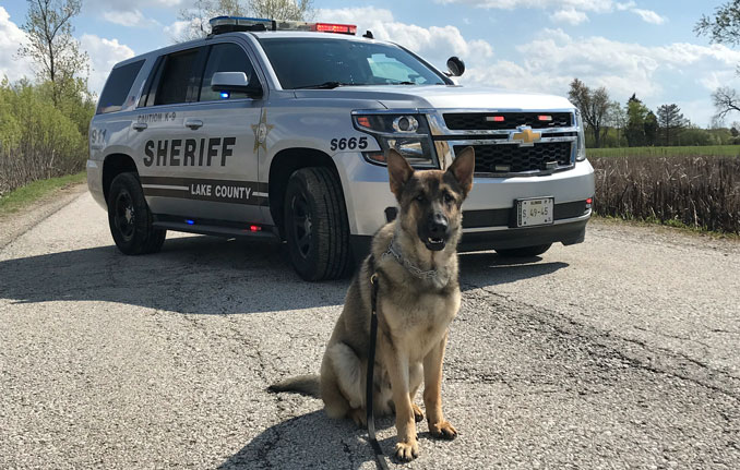 K-9 Danno (Lake County Sheriff's Office)