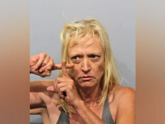 Karen Kline, charged with Criminal Trespass and Disorderly Conduct (SOURCE: Arlington Heights Police Department)