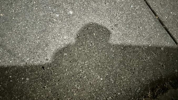 Shadow on a sidewalk caused by moonlight blocked by a parked SUV. The bump is a passenger side view mirror (CARDINAL NEWS)