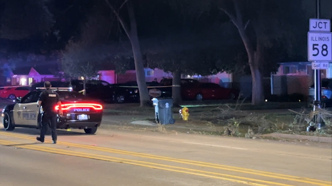 View south on Elmhurst Road north of Golf Road (Route 58) in Mount Prospect on Thursday night September 12, 2024