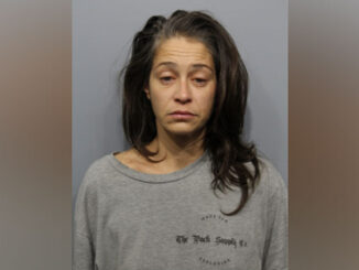 Cecelia Ivic, arrested after Criminal Damage to Property Charge at Red Roof Inn, 22 West Algonquin Road in Arlington Heights (SOURCE: Arlington Heights Police Department)