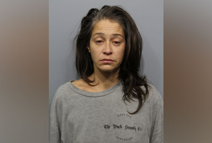 Cecelia Ivic, arrested after Criminal Damage to Property Charge at Red Roof Inn, 22 West Algonquin Road in Arlington Heights (SOURCE: Arlington Heights Police Department)