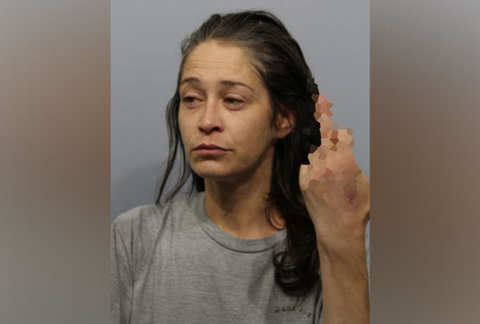 Cecelia Ivic, arrested after Criminal Damage to Property charge at Red Roof Inn, 22 West Algonquin Road in Arlington Heights, gesturing for her Violation of Bail Bond booking photo (SOURCE: Arlington Heights Police Department)