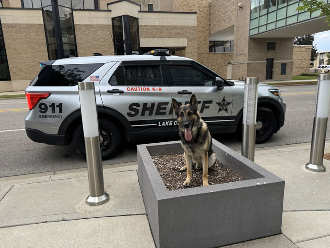 Lake County Sheriff's Office K-9 Danno (Lake County Sheriff's Office)