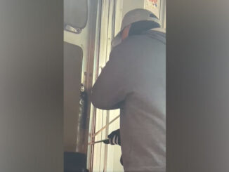 Suspect attempting to break in to a rear compartment in a UPS van at the At Home store in Elmhurst on Wednesday, August 28, 2024 (SOURCE: Elmhurst Police Department)