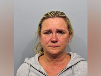 Agnieszka Stepaniuk, charged with DUI after a rollover crash with a parked car on Cleveland Avenue in Arlington Heights on Wednesday, October 2, 2024 (SOURCE: Arlington Heights Police Department)