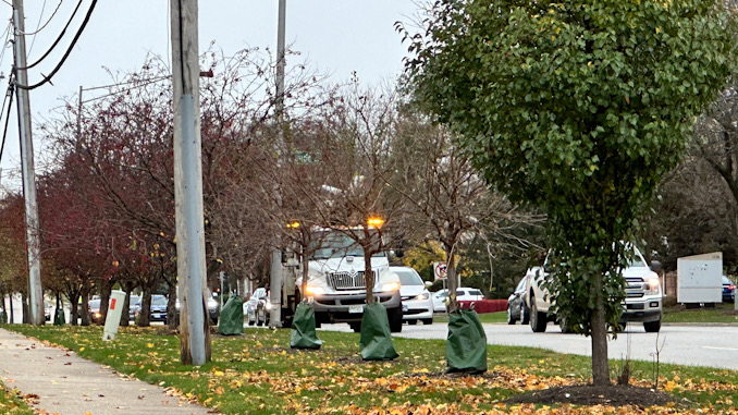 ComEd crews on Arlington Heights Road between Maude Avenue and Lynnwood Avenue  after an underground power line was hit during property maintenance  a few blocks away at a condo townhouse neighborhood on Douglas Court in Arlington Heights on Wednesday, November 20, 2024 (CARDINAL NEWS)