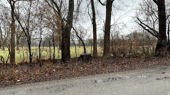 Whether by weather or by planned tree removal, significant gaps exist in the tree line between the Rolling Green golf course and the homeowners' property targeted by errant golf balls (CARDINAL NEWS)