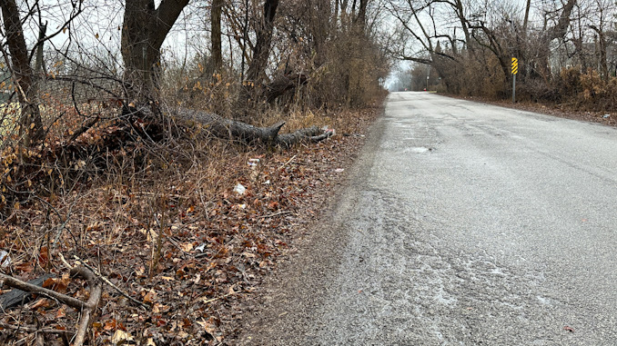 Golf course (left), Oakton Street west of Waterman Avenue (center) and residential property of homeowners (right) where errant golf balls allegedly travel left to right in this view westbound on Oakton Street in Arlington Heights (CARDINAL NEWS)