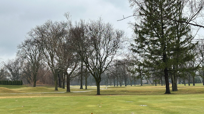 A view of Rolling Green Country Club Golf Course looking south through the tree line by Oakton Street west of Waterman Avenue in Arlington Heights (CARDINAL NEWS)