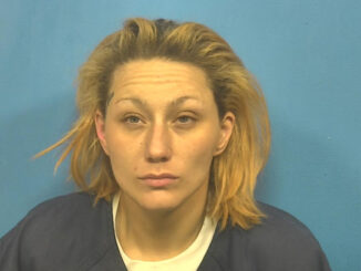 Arlington Heights resident Tiffany Main charged with Aggravated Fleeing and Eluding (SOURCE: DuPage County Sheriff's Office)